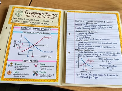 Economics Project - Handwritten project file for schools India